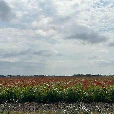 Holiday Home Rusthoeve 14 By Interhome Sint Maartensvlotbrug