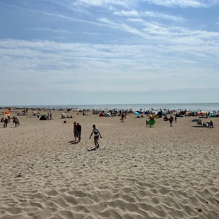 Rusthoeve 14 By Interhome بيت للعطل